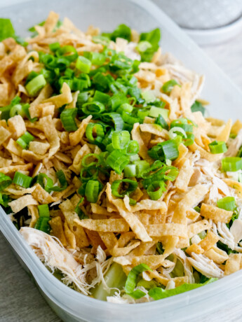 Chinese chicken salad angled shot