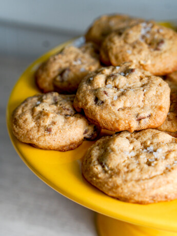 toasted milk powder chocolate chip cookies