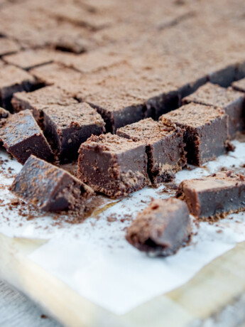 nama chocolate squares closeup dusted with cocoa powder