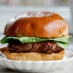 teriyaki burger closeup shot from the front of a fully assembled burger